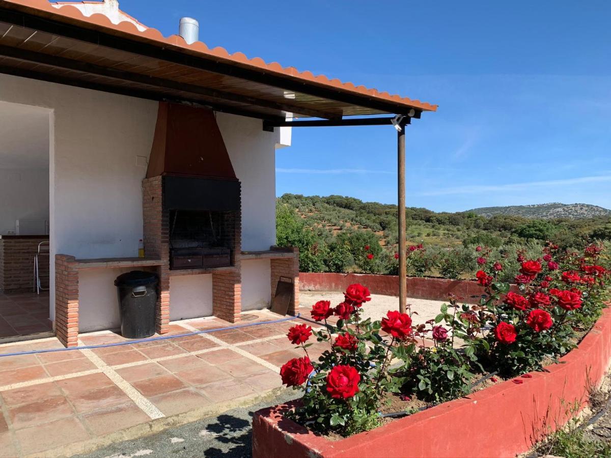 Santa Marta Complejo Rural Con Pista De Padel Konuk evi Archidona Dış mekan fotoğraf
