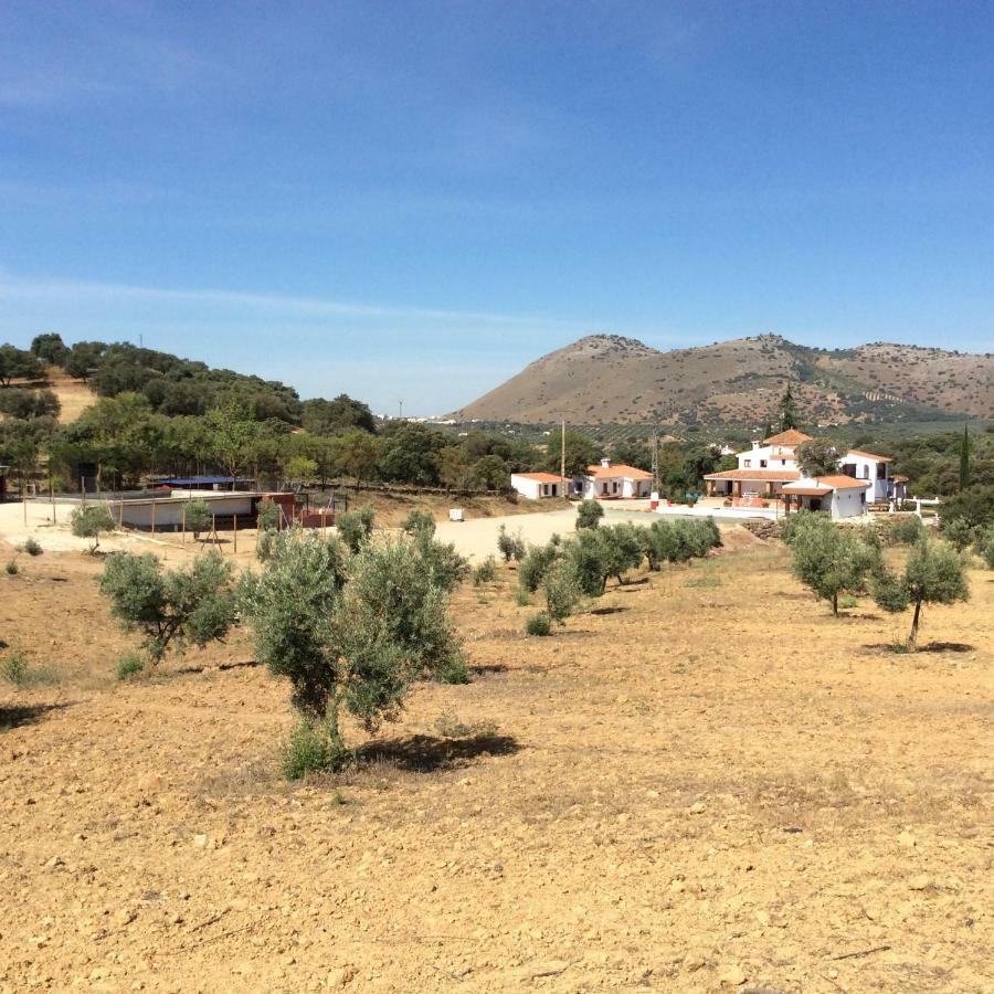 Santa Marta Complejo Rural Con Pista De Padel Konuk evi Archidona Dış mekan fotoğraf